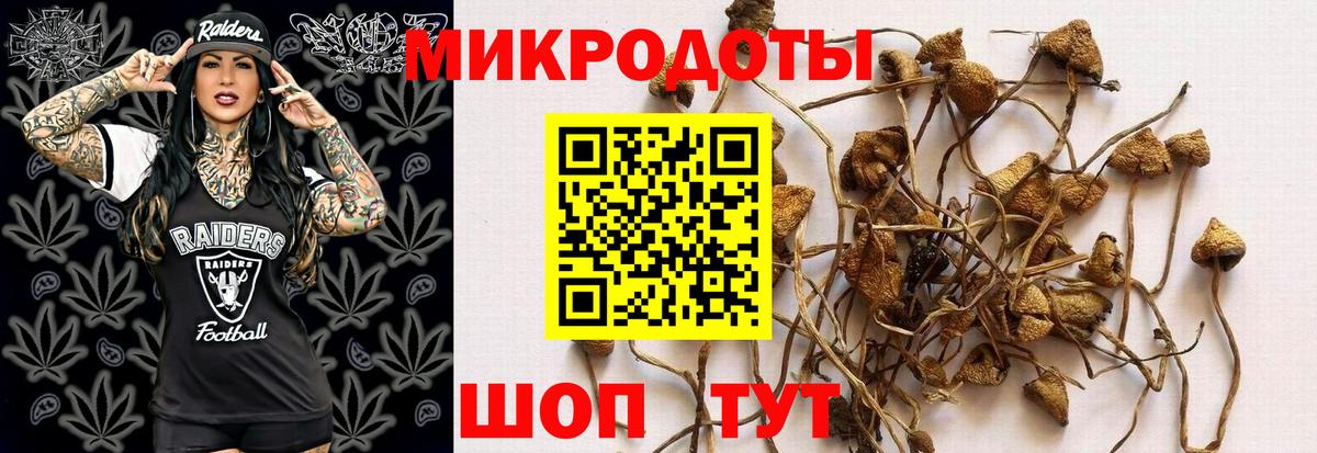 Мариинск  Галлюциногенные грибы мухоморы  Вход с VPN 